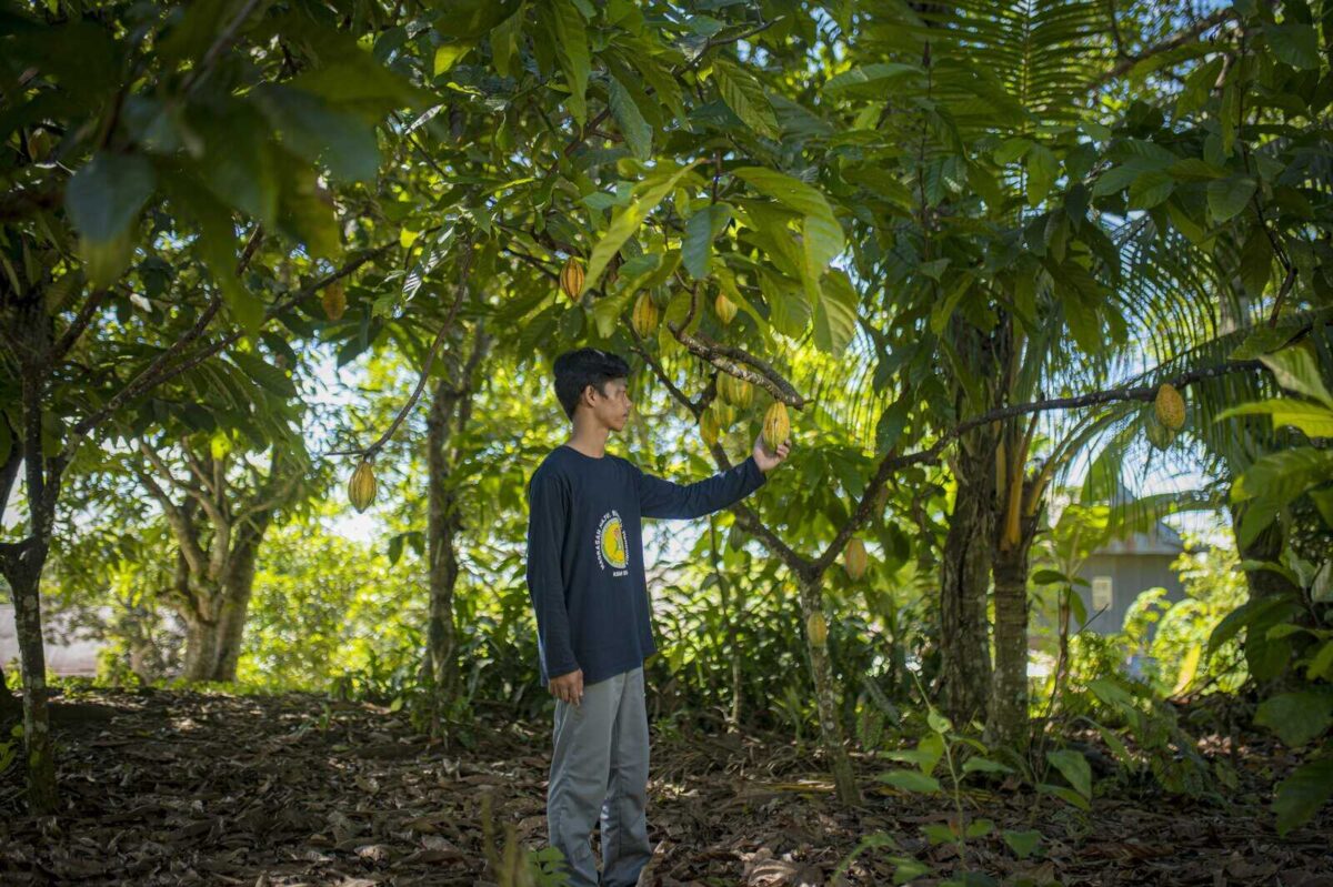 Ahmad* dan Impiannya Menyelesaikan Pendidikan
